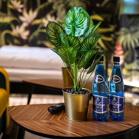 Jungle Podwale Breslau